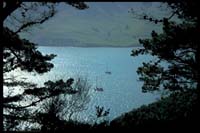 Blick auf Lyttelton Harbour