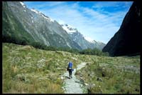 Auf dem Milford Track