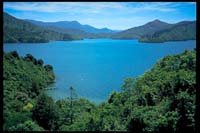 Blick auf den Queen Charlotte Sound