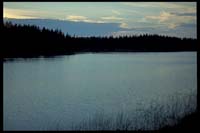 Landschaft zwischen Arjäng und Gustavsfors