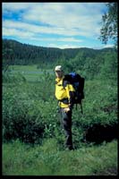 Auf dem Weg nach Kvikkjokk