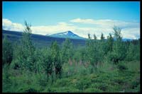 Auf dem Weg nach Kvikkjokk